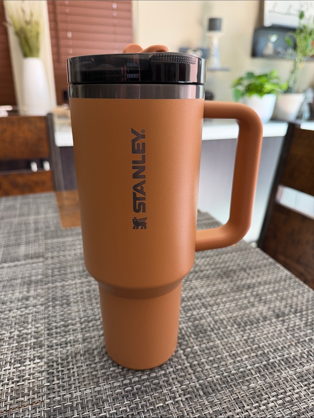 Stanley 40oz ProTour - Camel